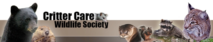 Critter Care Wildlife Society